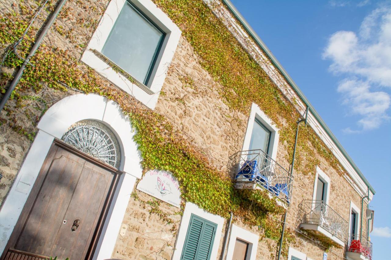 La Belle Vie B&B Santa Maria di Castellabate Luaran gambar